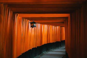 Senbon Torii, Fushimi Inari Shrine, Kyoto, Japan