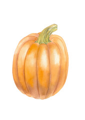 Pumpkin watercolor art. Hand-drawn illustration, isolated on white background