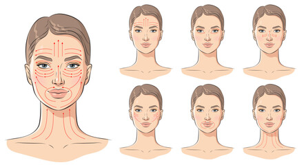 Face massage lines. Facial massage instructions, vector illustration
