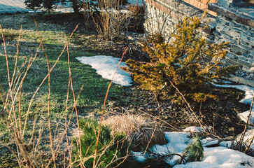 last snow in the nature