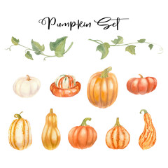 Pumpkin set. Hand-drawn watercolor illustration for prints, patterns, banners or gift cards.