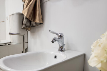 toilet bowl and other furniture in wc toilet