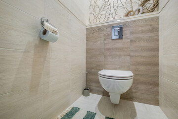 toilet bowl and other furniture in wc toilet