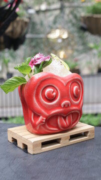 bebidas drink comida food