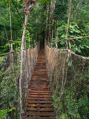 Amazonia