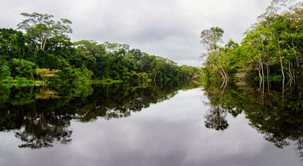 Amazonia