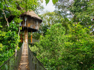 Glamping accommodation in the Amazon rainforest. Wooden treehouse , Amazon Rainforest, Amazonia, Pacaya Samiria National Reserve, Peru, South America. - 537862108