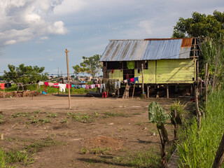 amazonia