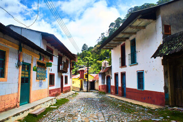 Fototapeta na wymiar traditional village in the forest with beautiful road, otomi town in the incarnation, zimapan hidalgo, original towns of america 