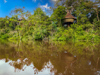 Fototapeta na wymiar Glamping accommodation in the Amazon rainforest. Wooden treehouse , Amazon Rainforest, Amazonia, Pacaya Samiria National Reserve, Peru, South America.