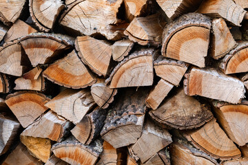 Firewood is stacked in front of the white wall.