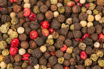 Layout of mixture with hot pepper, red pepper, black pepper, white pepper, green pepper as food background