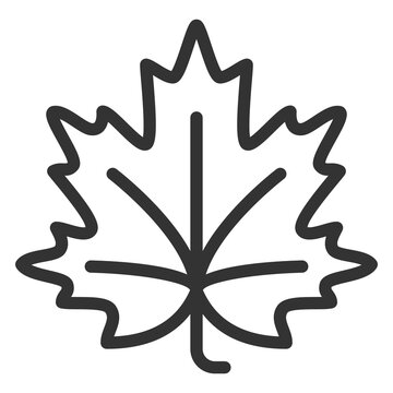 recommend clip art: Autumn maple leaf - icon, illustration on white background, outline style