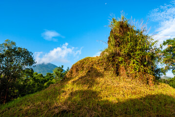 Fototapeta premium Old ruined Hindu temple in My Son - ancient World Heritage Site - Hoi An, Vietnam, Asia