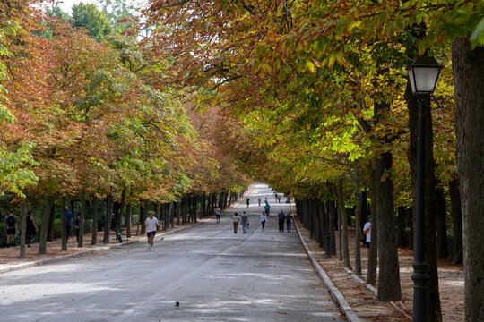 A park in Madrid Spain with beautiful fall colors.