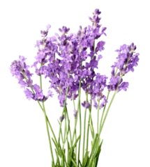 Foto op Aluminium Lavender flowers isolated on white background © BillionPhotos.com
