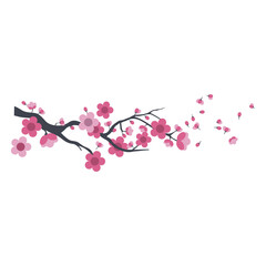Sakura blossom branch. Falling petals, flower. Flying realistic japanese pink cherry or apricot floral element png illustration.