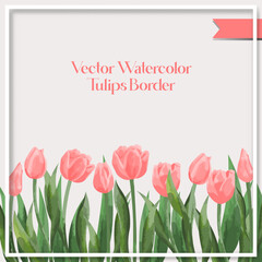Vector watercolor tulips border collection