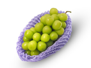 Japanese green grapes or shine muscat grape fruits isolated on white background with clipping path.