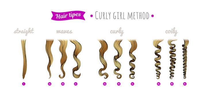 Scheme of curly hair of different types. Straight, waves, curly, coily hair. Curly hair type chart. Curly girl method.