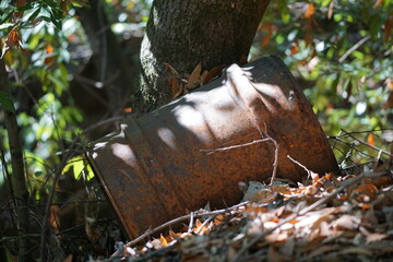 Rusty metal barrel leaning against a tree in the forest