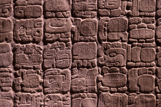 The National Museum of Anthropology in Mexico City