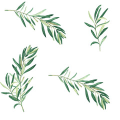 Watercolor seamless pattern with olive branches on a white background. Can be used for textile, wallpaper prints, kitchen, food and cosmetic design.
