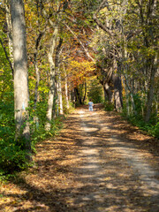 Obraz premium Autumn footpath