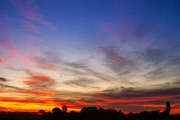 Picturesque sunrise over the trees. Red clouds in the morning sky. Morning landscape.