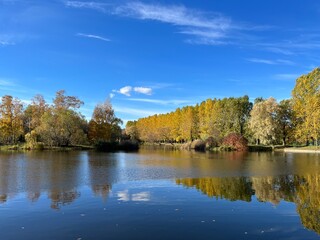 Obraz premium Autumn trees silhouettes reflection on the surface of the lake, blue sky