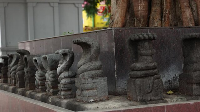 Nagaraja Temple, Nagercoil Tamilnadu India. Snake statue made of stone 4k video footage