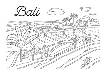 Rice terraces in Bali. Indonesian nature. Vector linear illustration, sketch
