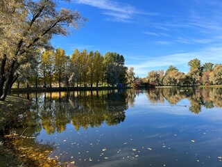 Fototapeta na wymiar Autumn trees silhouettes reflection on the surface of the lake, blue sky