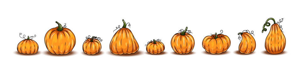 Set of pumpkins, different types of Cartoon pumpkins. halloween, fall harvest gourds. Pumpkins, squash and leaves vector symbols illustrations. Autumn thanksgiving and halloween pumpkins collection