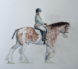 Coloured pencil drawing of Clydesdale  heavy horse and rider.