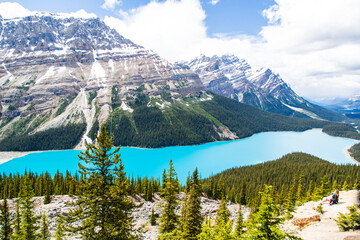 Peyto Lake seen from Bow Summit in Banff National Park