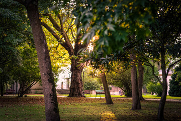 Parque urbano en otoño con árboles