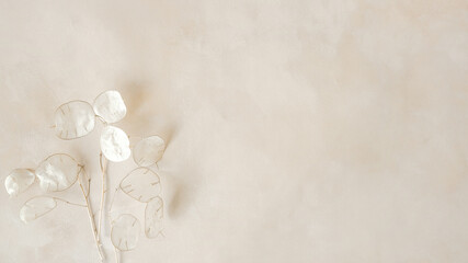 Dried flowers on beige backdrop. Pastel floral background. Banner, copy space.