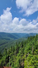 Fototapeta premium Parc National De La Jacque Cartier