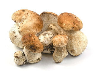 White mushrooms