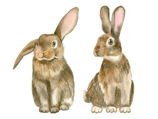 Watercolor illustration. Brown Rabbits hand-painted in watercolor on a white background. Perfect for printing on fabric, paper, postcards, invitations.