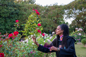an African American woman with long sisterlocks standing in the garden admiring the red roses in...