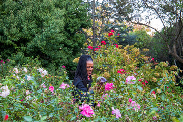 an African American woman with long sisterlocks standing in the garden admiring the red roses in...
