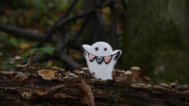 White ghost shaped Halloween cookie with Boo word stands by toadstools on fallen tree in dark autumn forest. Selective focus. Real time video. Holiday food theme.