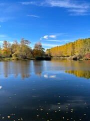 Obraz premium Autumn trees silhouettes reflection on the surface of the lake, blue sky