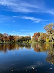 Obraz premium Autumn trees silhouettes reflection on the surface of the lake, blue sky