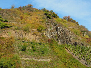 Fototapeta premium Beilstein im Herbst – das Dornröschen der Mosel
