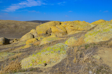 Wind Wolves Preserve, Kern County