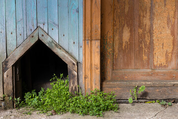 hole for the dog in the house (Corrected)