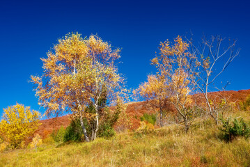 autumn in the mountains